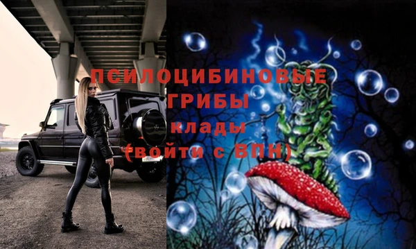 a pvp Алзамай