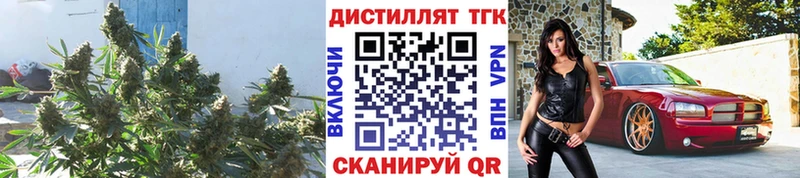 ТГК гашишное масло  Архангельск 